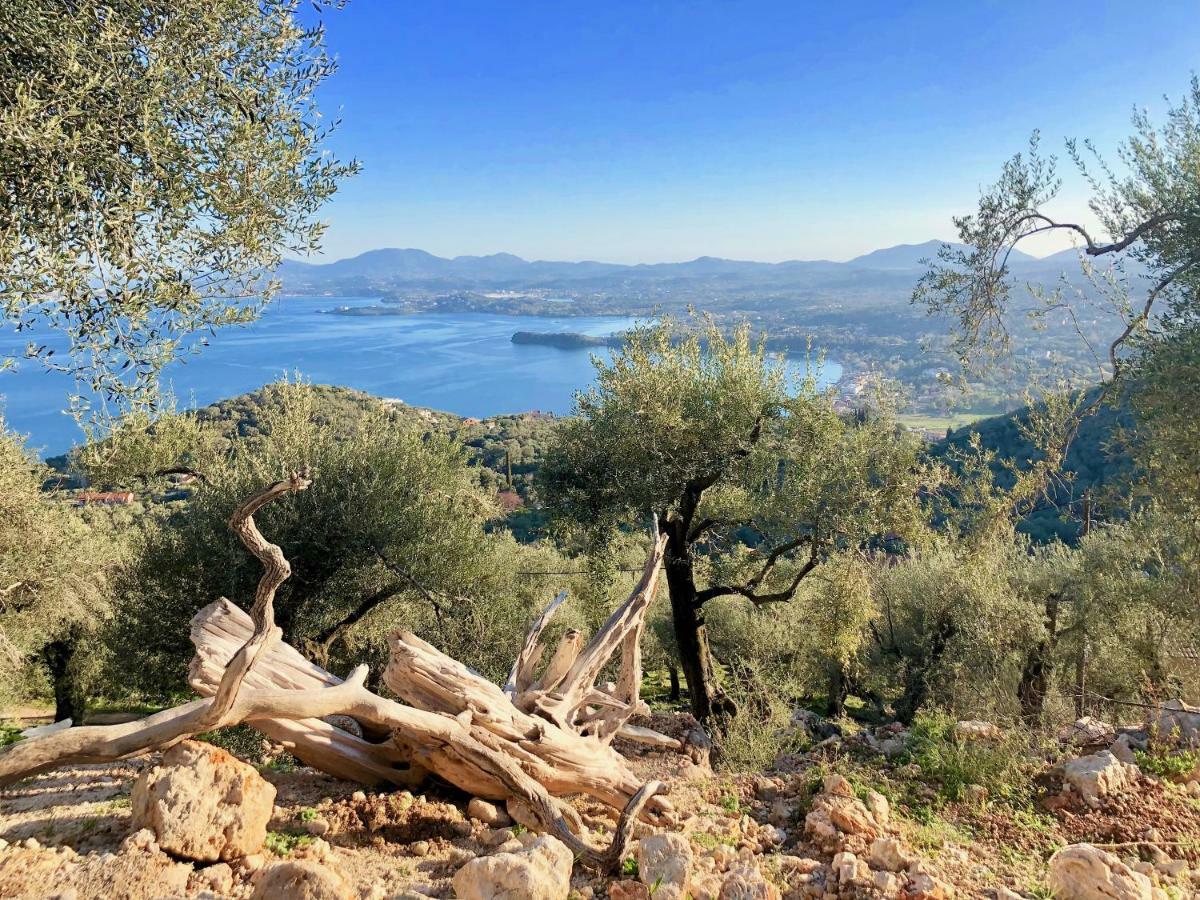 House Teigan Of Villa Intaba Breath Taking Sea Views Corfiot Riviera Corfu Island Greece With Pool Close To Ipsos Beach Pyrgi  Eksteriør billede